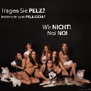Pelz? NEIN Danke